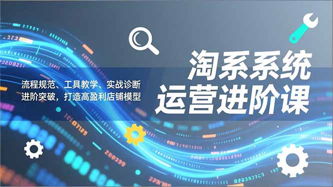 淘系系统运营进阶课2.0,流程规范、工具教学、实战诊断,进阶突破,打造高盈利店铺模型-橡木仓