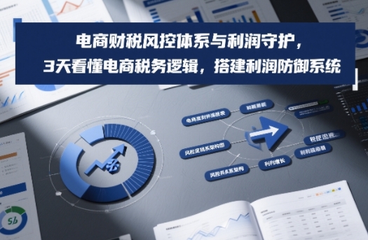 电商财税风控体系与利润守护，3天看懂电商税务逻辑，搭建利润防御系统-橡木仓