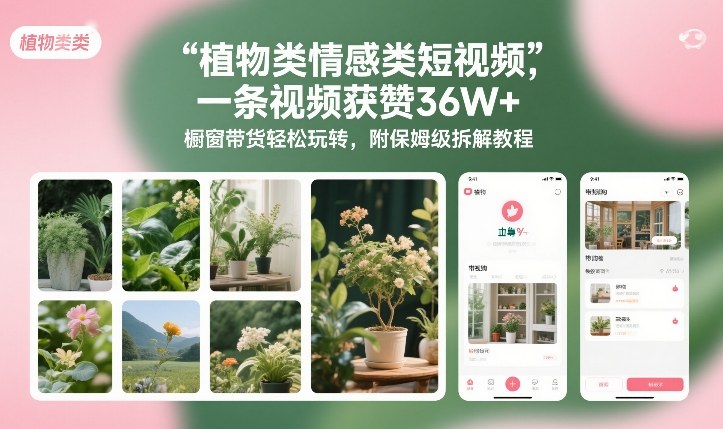 植物类情感类短视频，一条视频获赞36W+，橱窗带货轻松玩转，附保姆级拆解教程-橡木仓