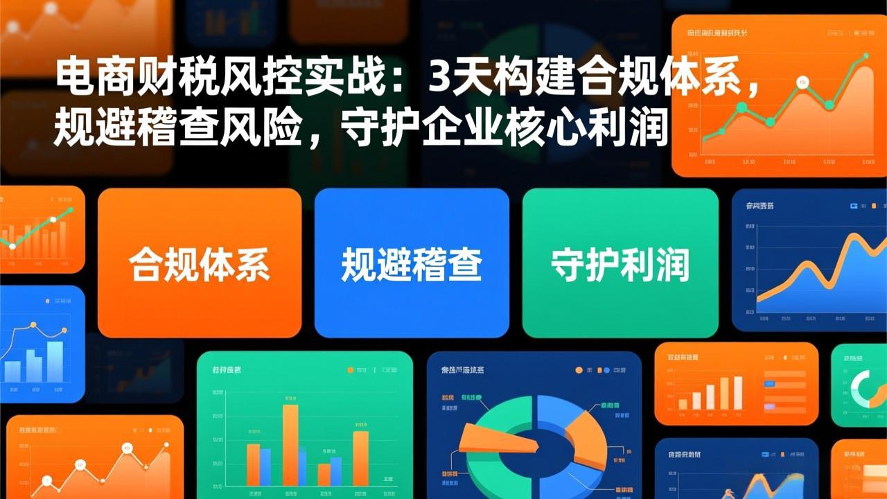 电商财税风控实战：3天构建合规体系，规避稽查风险，守护企业核心利润-橡木仓