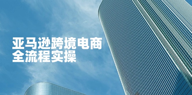 (14252期)亚马逊跨境电商全流程实操,教你从零开始,掌握店铺运营与广告技巧-橡木仓