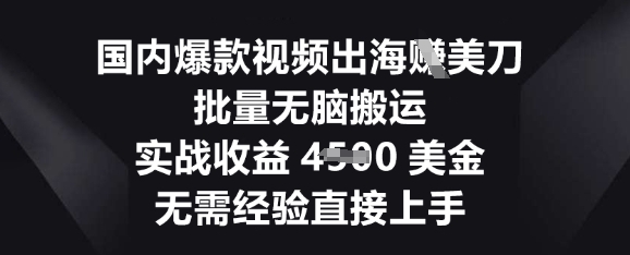 国内爆款视频出海挣美刀,批量无脑搬运,实战收益4.5k,无需经验直接上手-橡木仓