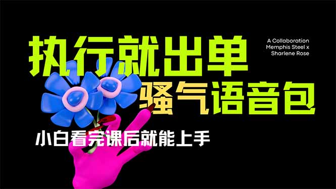 (14170期)爆火全网的开车导航骚气语音包,只要执行就出单,小白看完课程就能实操...-橡木仓