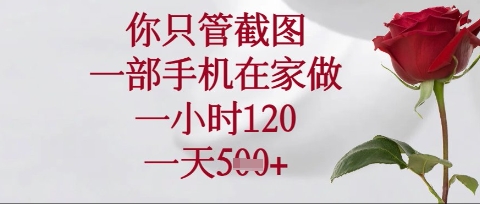 你只管截图,一部手机在家操作,一小时120.一天5张【揭秘】-橡木仓