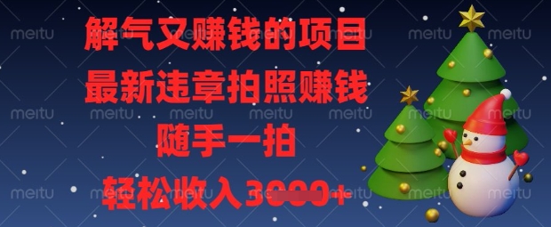解气又挣钱的项目,最新违章拍照挣钱,随手一拍,轻松收入数张【揭秘】-橡木仓